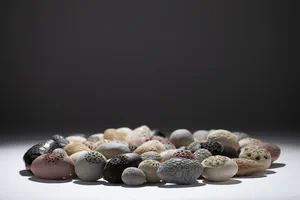 Pebble and lace: a meeting of nature, memory, and form